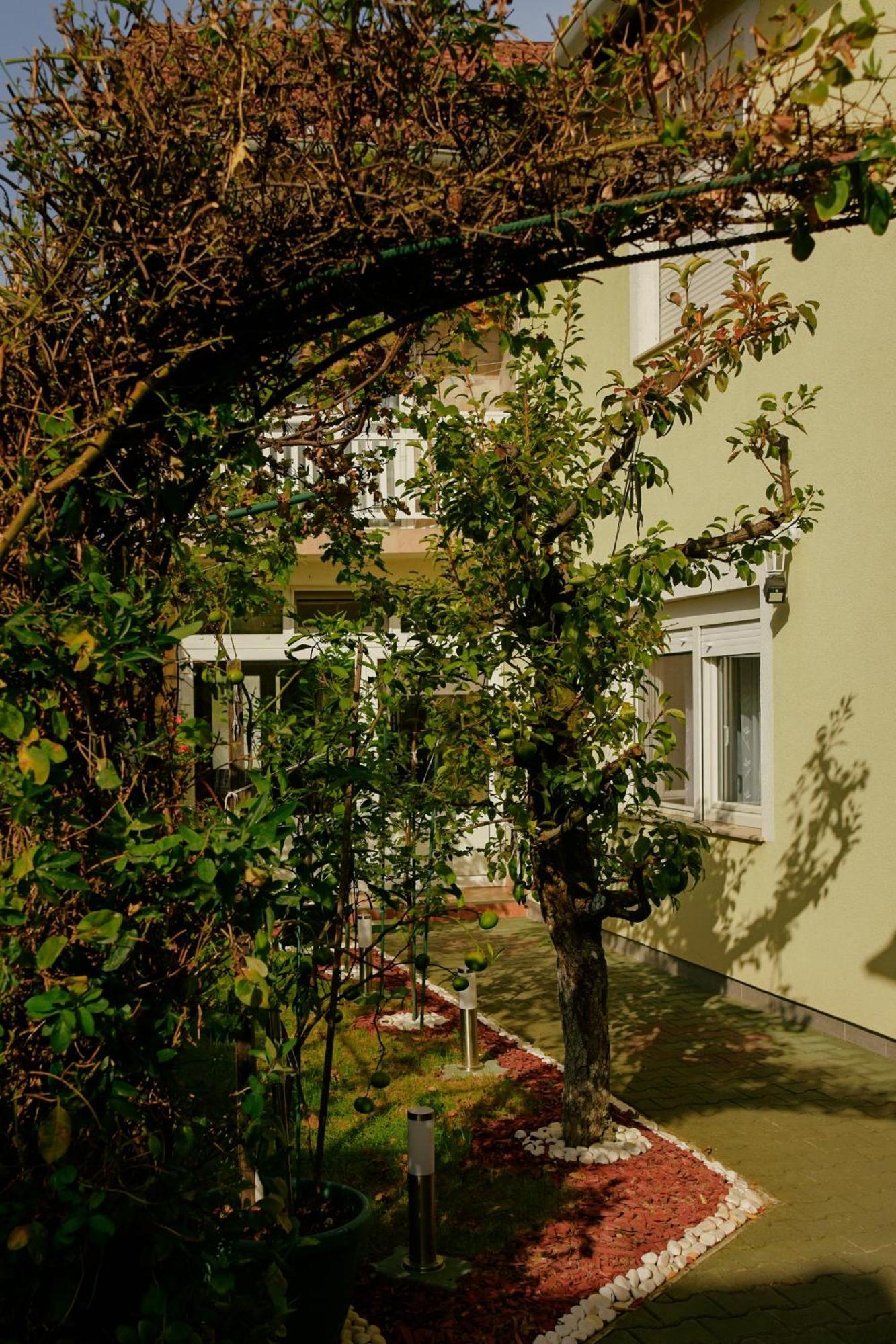 Soba Luic Zupanja Exterior foto